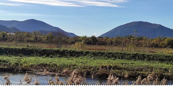 Umjetna inteligencija potvrđuje teoriju homerologa Kreše Vujevića! (2) ljubuski.info